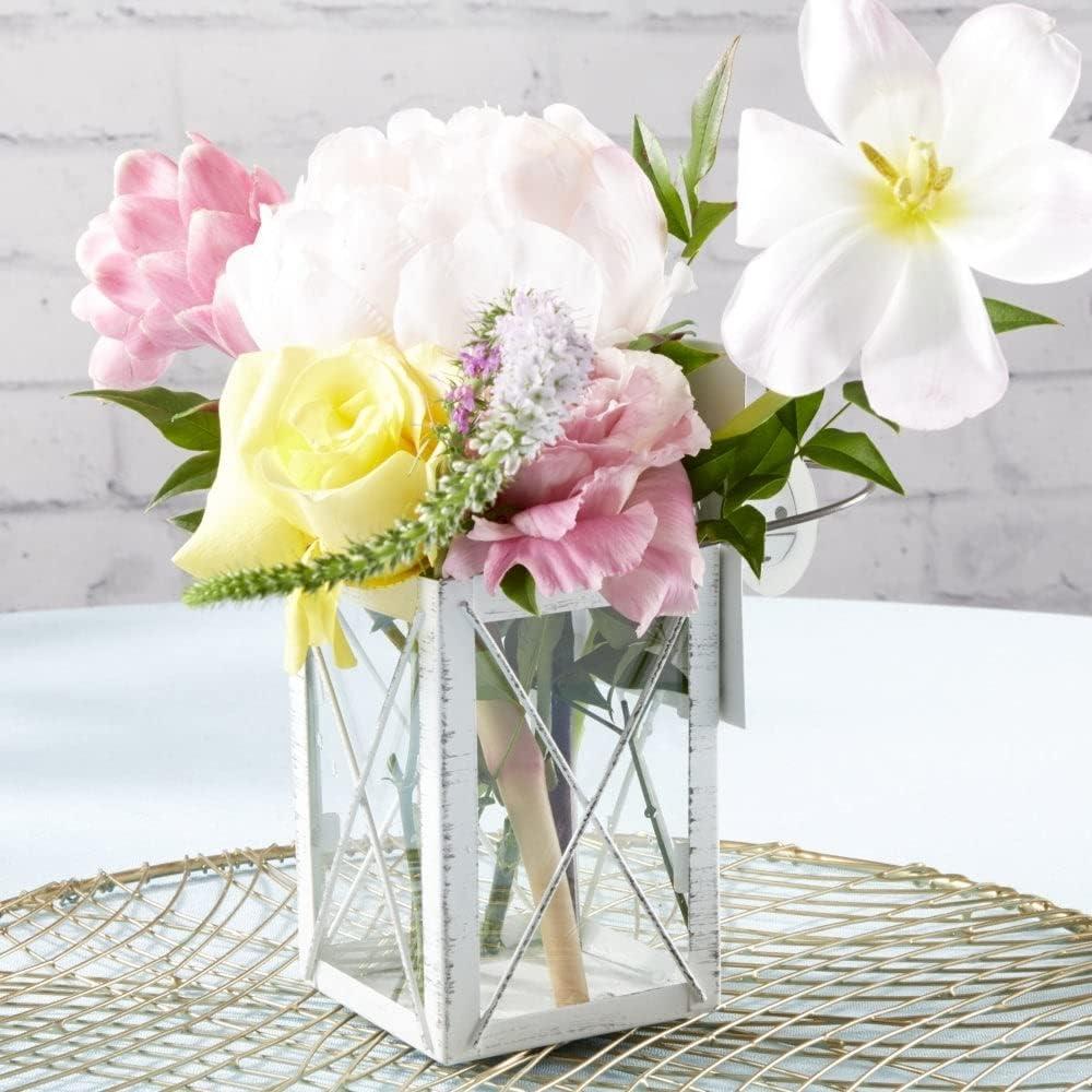 imageKate Aspen Rustic Shelf Decor Luminous Vintage Tea Light Votive Candle Holders Metal Mini Decorative Lantern Distressed WhiteDistressed White  Medium