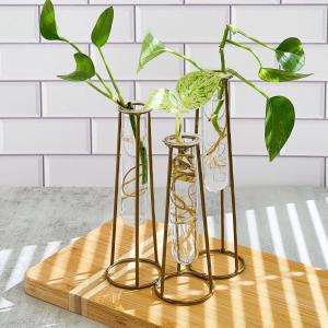 Propagation Station Terrariums with Gold Metal Stand – Kate Aspen 3 Glass Test Tube Planters for Indoor Plant, Air Plants, Plant Clippings, Cut Flowers, Herbs, Succulents | Home Decor Table Decoration