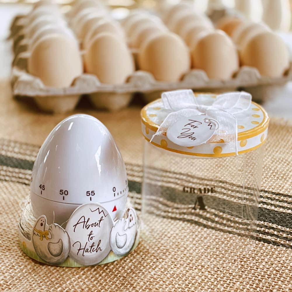 imageKate Aspen About to Hatch Kitchen Egg Timer in Showcase Gift Box White 18216NA 1 Count Pack of 1